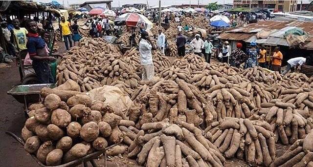 24176683_332605840541173_6757977119126993120_n